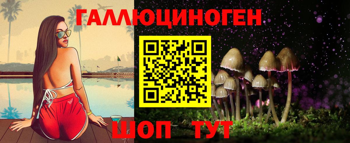 Галлюциногенные грибы Cubensis Красный Сулин